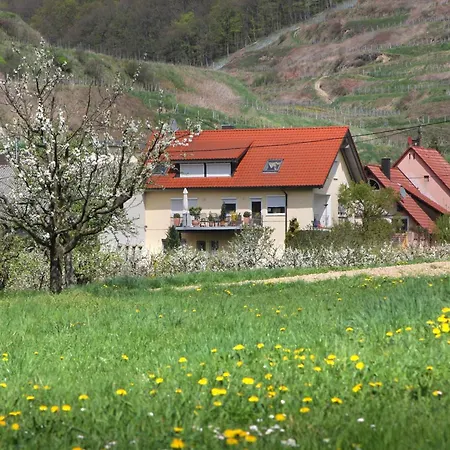 Graf * Vogtsburg