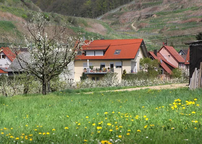 Graf * Vogtsburg im Kaiserstuhl